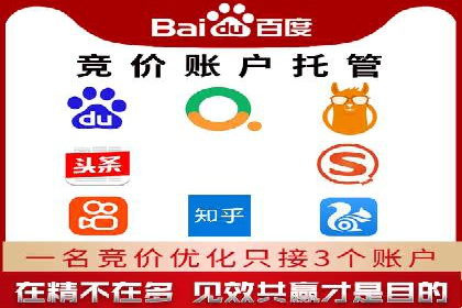 竞价托管服务对比：不同平台的优劣分析